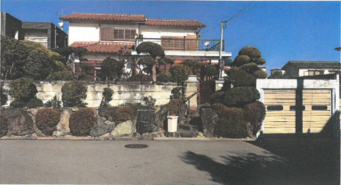 100画像