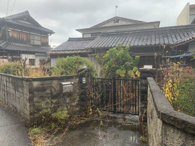 659画像