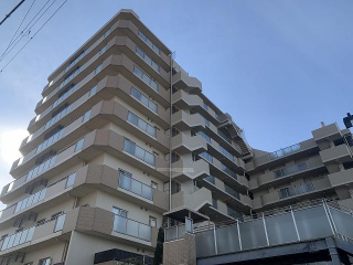 658画像