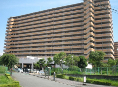 830画像