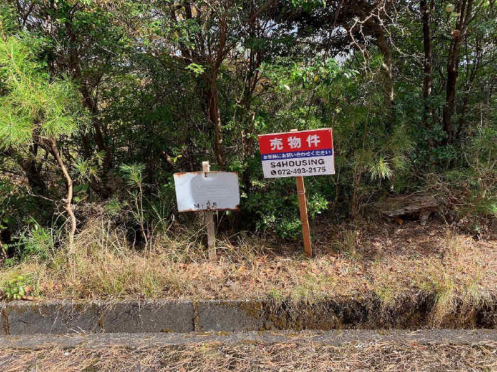 219画像