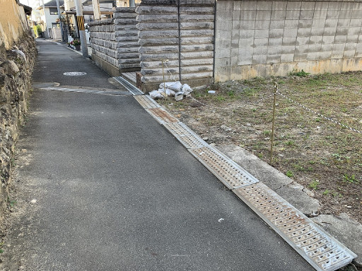 230画像
