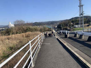590画像