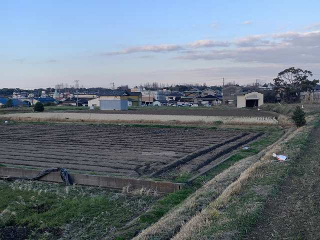 651画像